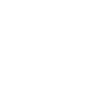Brisbane Lions