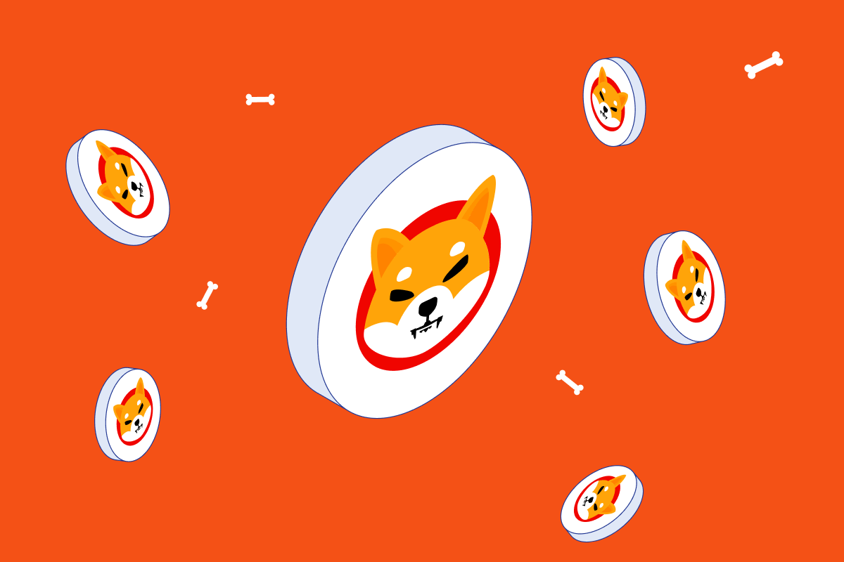 What is Shiba Inu (SHIB)? | Is It the Dogecoin Killer? | Swyftx Learn